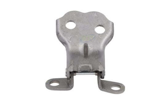 Tazz Front Door Hinge - Lower - Right 2000-2006
