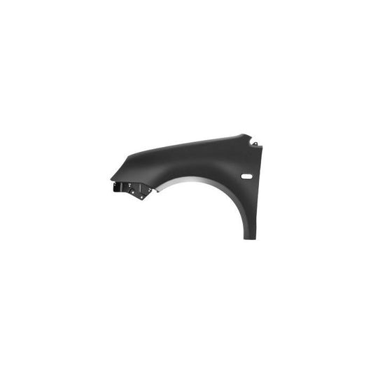 Polo 2 Front Fender - Left 2002-2004