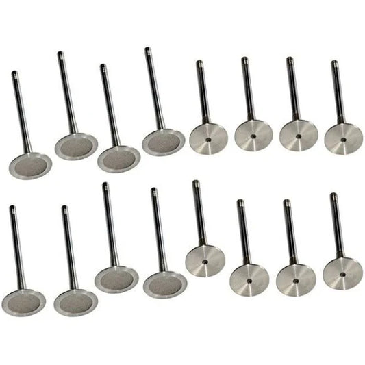 Golf 6 GTI / Audi A3 / A4 B8 Inlet And Exhaust Valve 16Pcs (CCZ / CDH Engine)